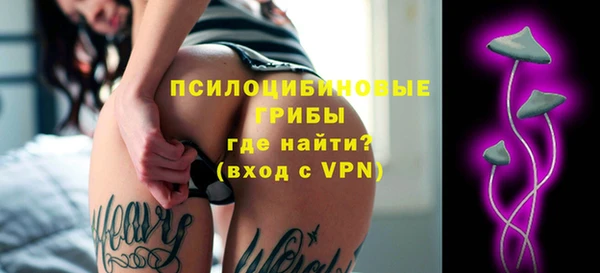 мдпв Куйбышев